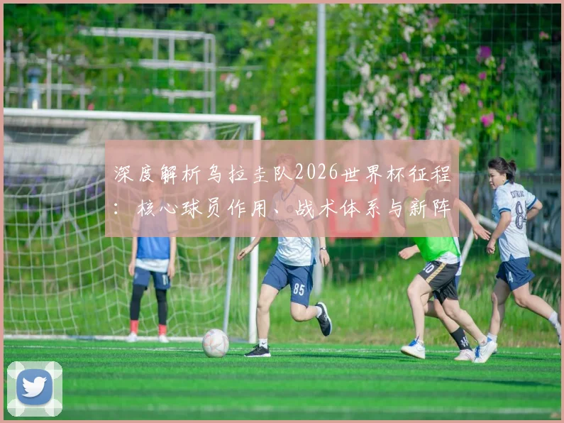 深度解析乌拉圭队2026世界杯征程：核心球员作用、战术体系与新阵容展望