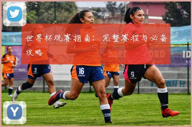 世界杯观赛指南：完整赛程与必备攻略